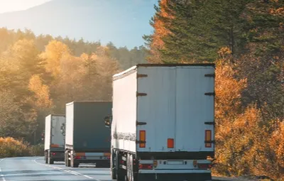 İzmir ile Domaniç Arası Klima Taşıma